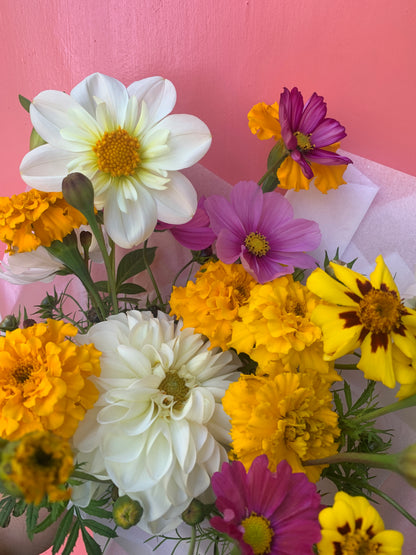 Dahlia 'Rainbow Open Form Mix' Seeds