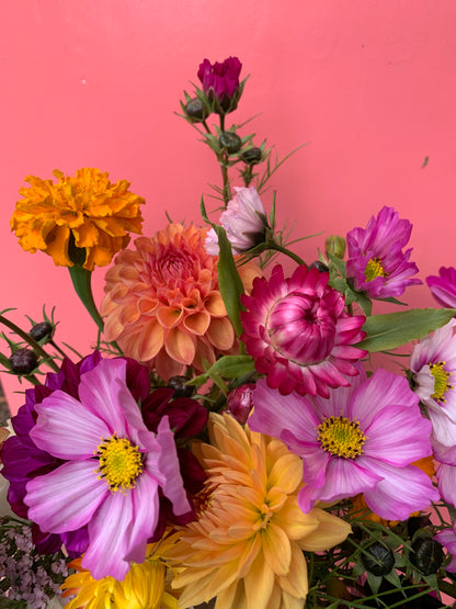 Cosmos 'Cherry Blossom Mix' Seeds