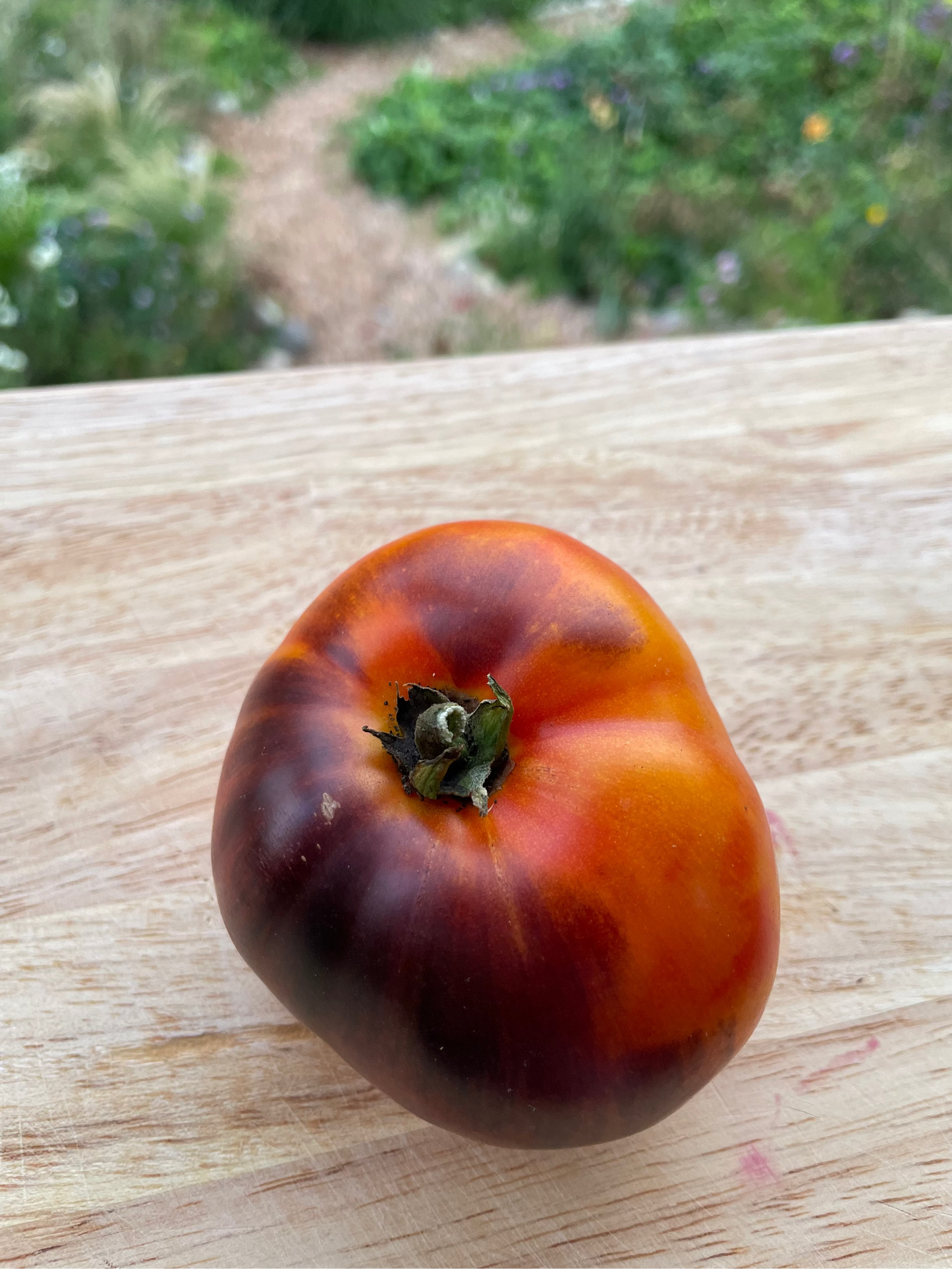Tomato 'Lucid Gem' Heirloom Seeds