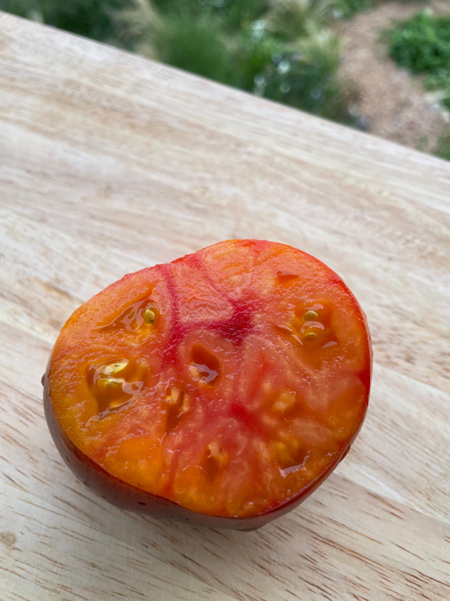 Tomato 'Lucid Gem' Heirloom Seeds