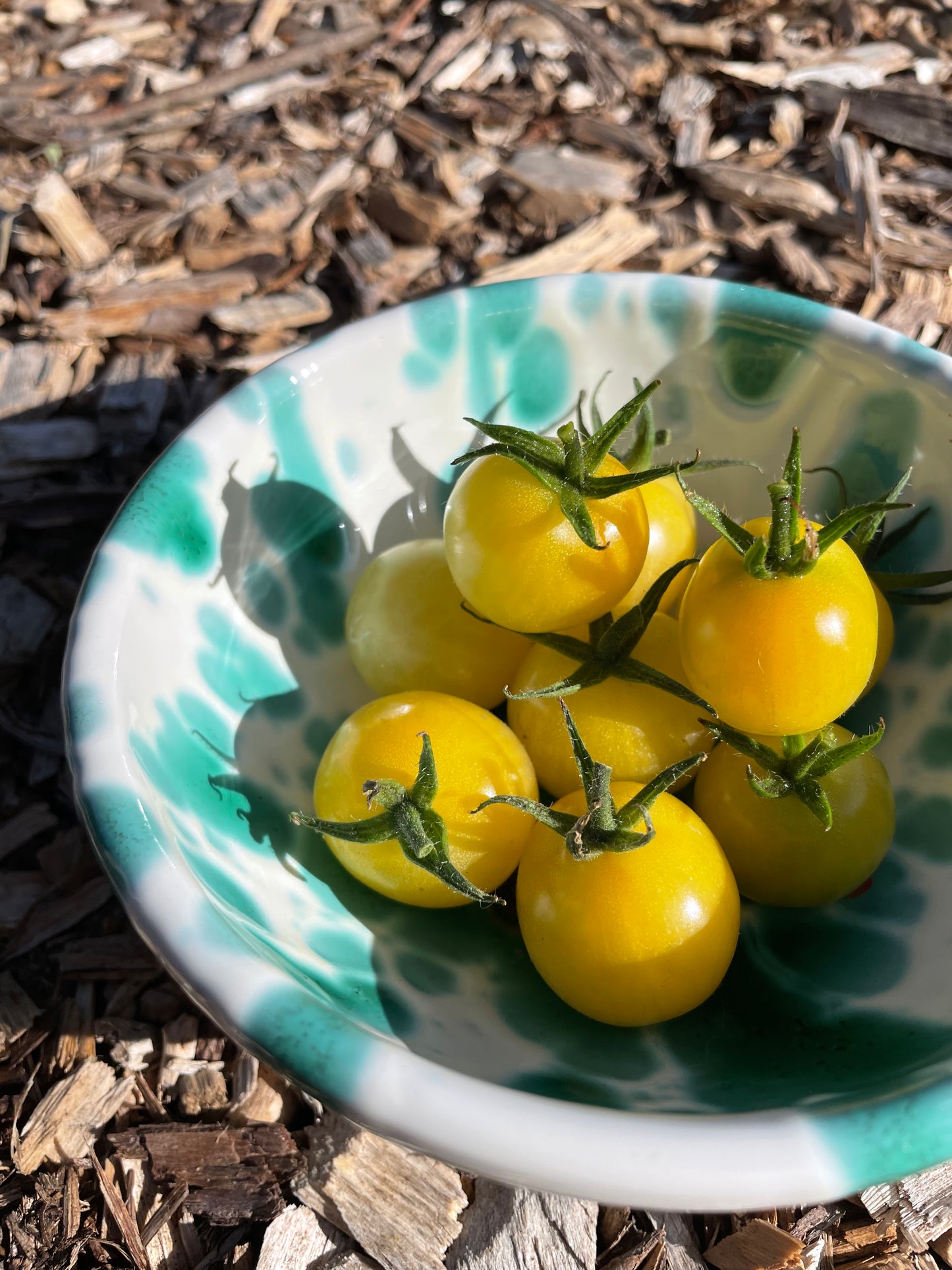 Tomato 'Dr Carolyn' Yellow Heirloom Cherry Seeds