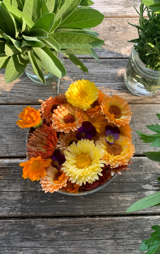 Calendula 'Healers Mix' Seeds