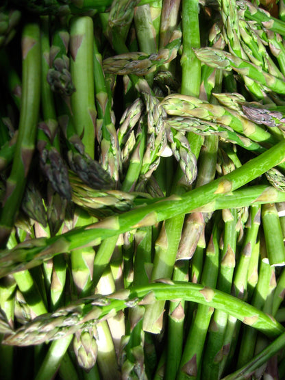 Asparagus ‘Mary Washington’